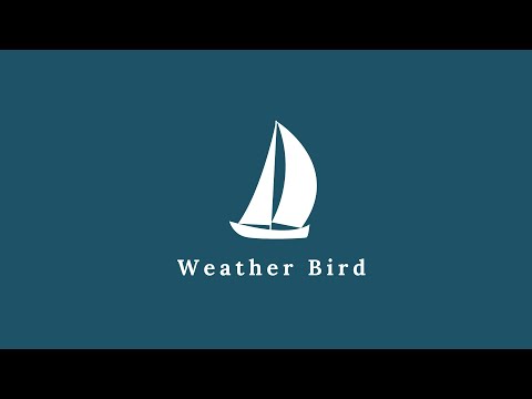 weather bird