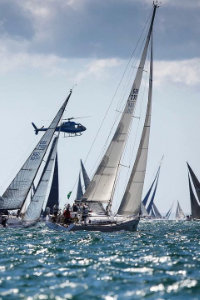 Dog wearing a life jacket on a yacht