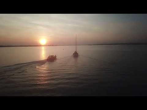 blue otter youtube link